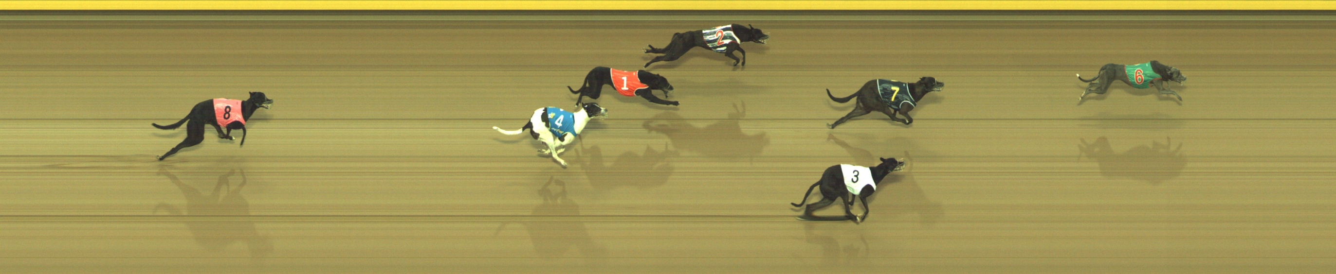 Race result finish photo